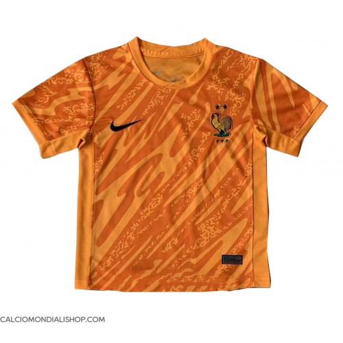 Maglie da calcio Francia Portiere Seconda Maglia Europei 2024 Manica Corta